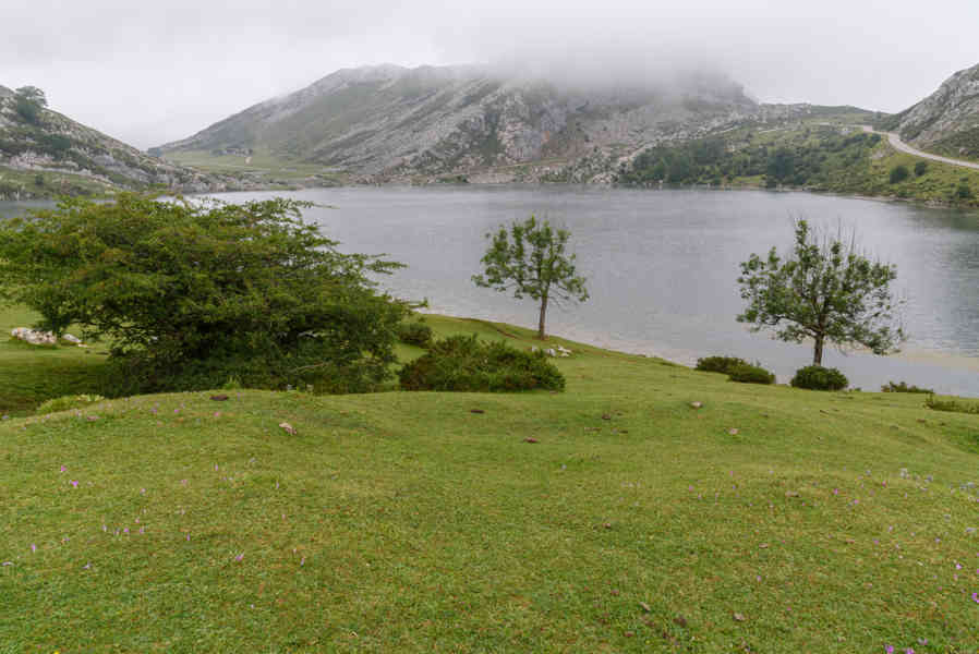 Principado de Asturias 050 - parque nacional de los Picos de Europa - lago Enol.jpg
